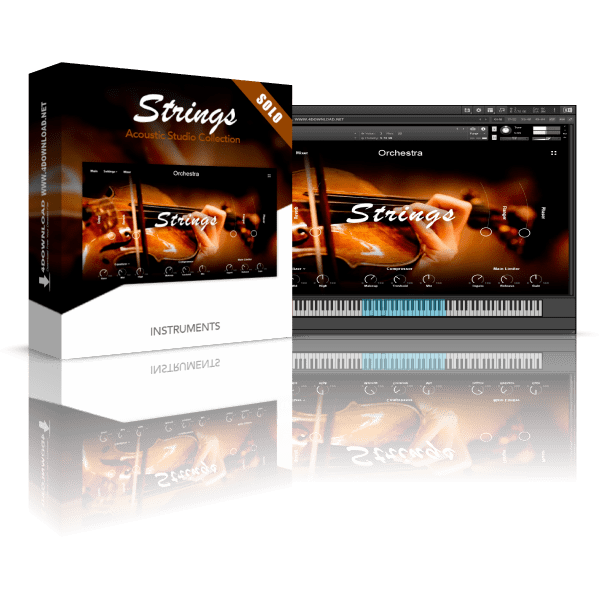 Muze Strings Solo KONTAKT Library